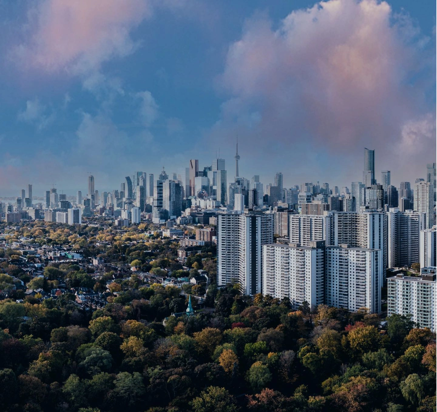 An aerial view of the Toronto skyline rising behind a green tree canopy.